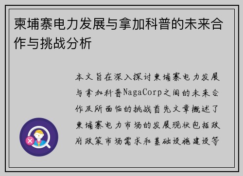 柬埔寨电力发展与拿加科普的未来合作与挑战分析